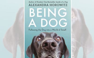 Being-a-Dog Being-a-Dog