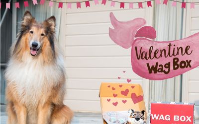 Valentine-wag-box Valentine-wag-box