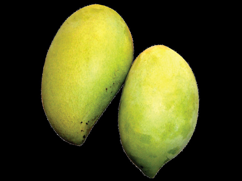 Delicious Raw Mangoes This Summer You & I