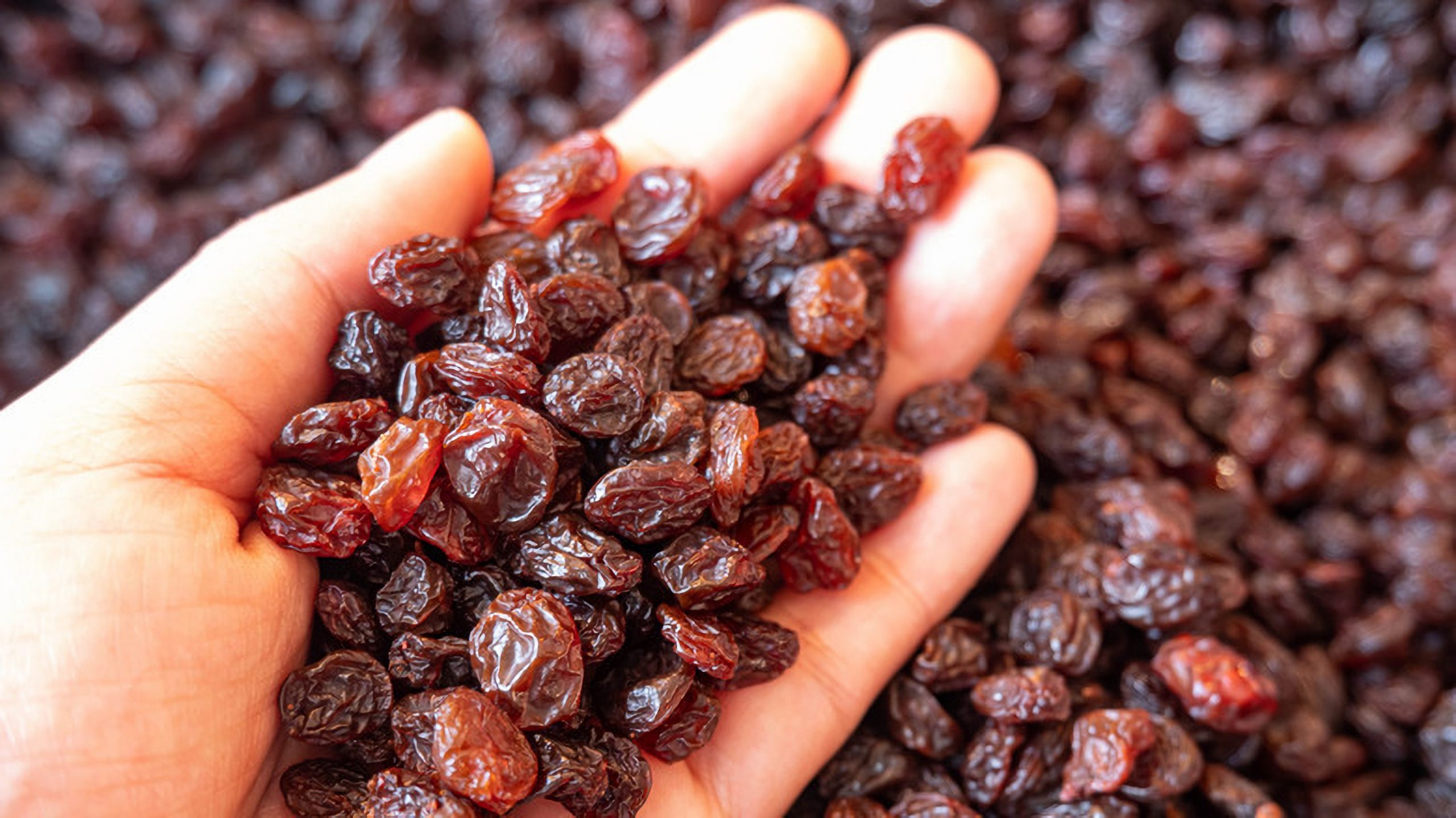 Family of Raisins – You and I